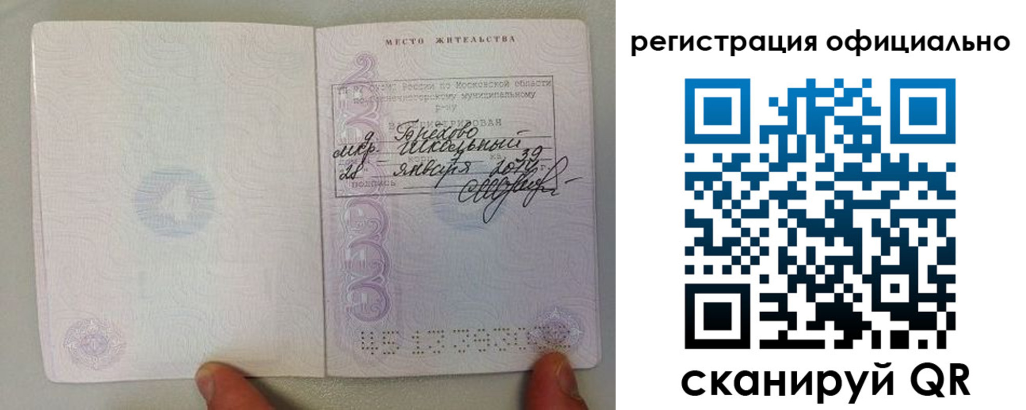прописка штамп в Купино